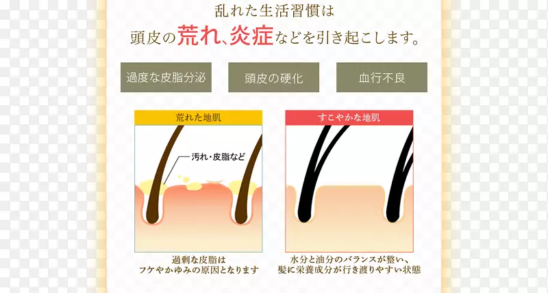 ƽ�����Ʒ�����-������