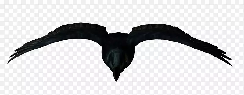 ��ѻ-��ѻ-������