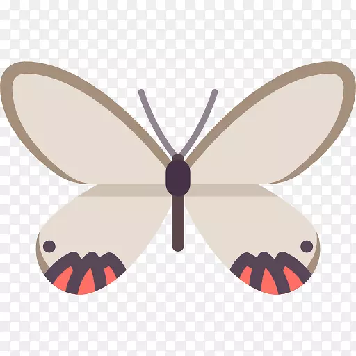 ��������ˢ������������-������