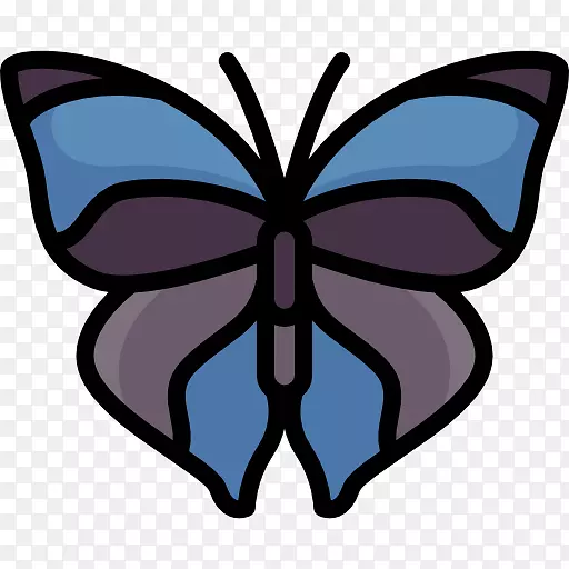 ��������ë�ʺ����ԳƼ���������-������