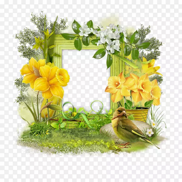 ��Ӱ������.Kurdale-������