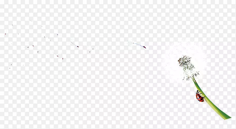 ���ͷ��ѹ�Ӣ-������