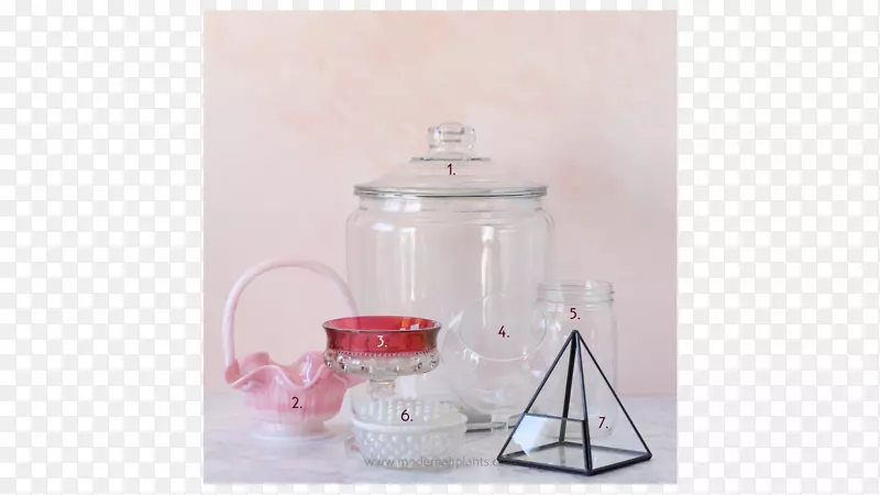 ����ƿ��������-������