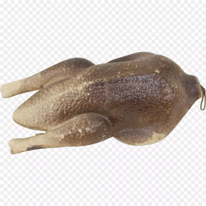 ���ܶ������-���ܶ���-������