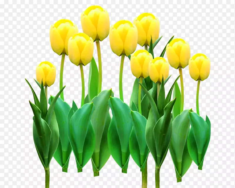 �������л��廭-������-������