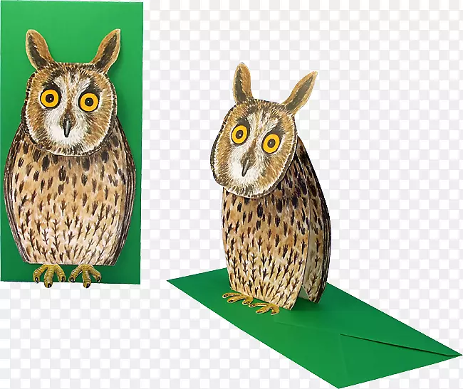 èͷӥ�����Ұ������èͷӥ-������