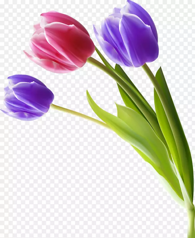 ��������-������