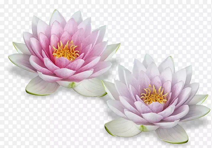 ��������-������