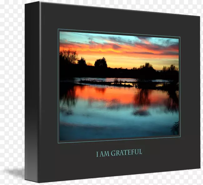 ���ӵ�����ʾ����ʾװ�ö�ý��ƽ����ʾ��л-������