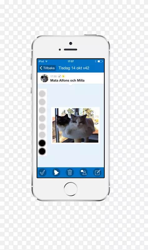 �����ֻ������ֻ���������ע3��׿�����ֻ�-������