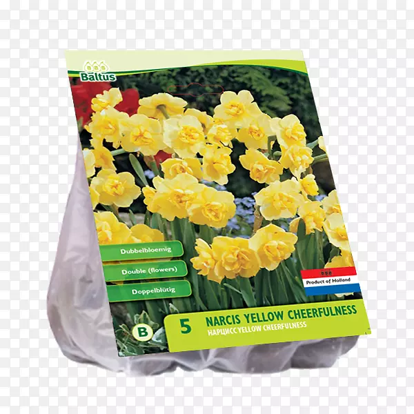 �л������ӻ���-������