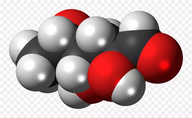 ʥ��װ��Ʒ-ʥ����-������