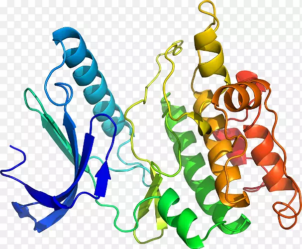 ���������л����߼�������-������