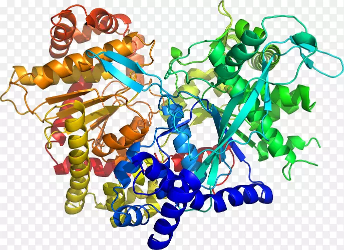 ���������鱦�л�����������鱦����-������