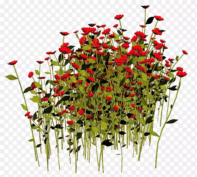 ������ƻ��觸�ӧ֧��-̫��ȭ-������