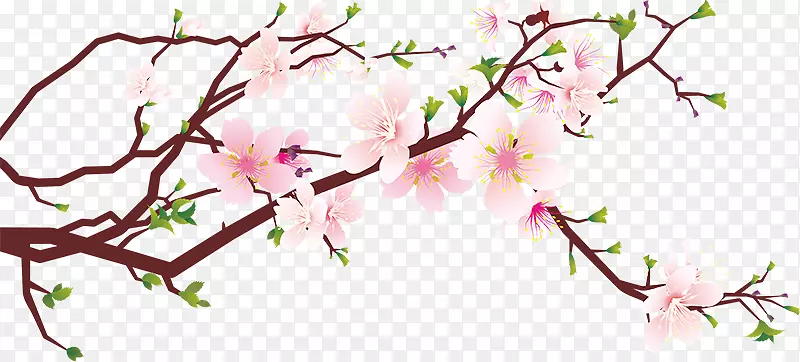 ӣ��������-�һ�-������