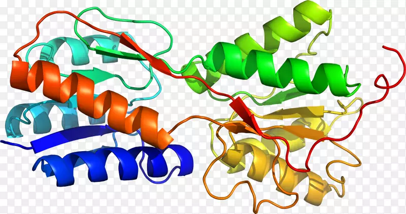 �߲��л���ϵ�м�����-�߲�-������