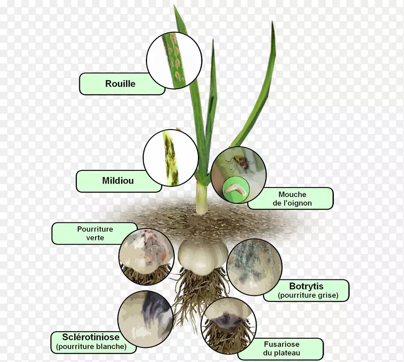 �ݿ�-������