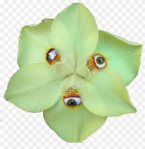 ������-��Ȼ����-������