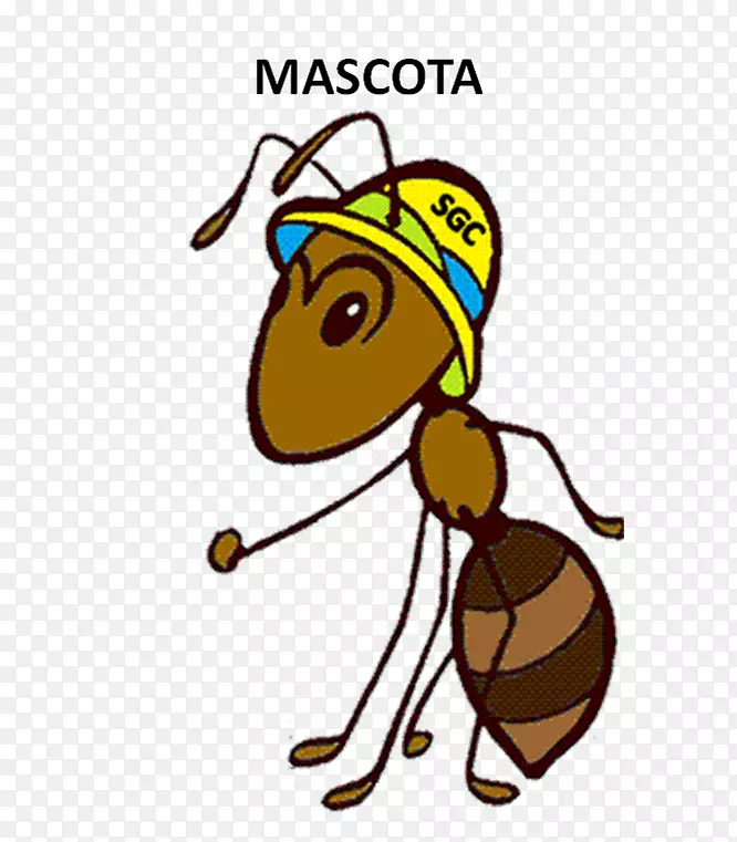 ��������Ⱥ�������������-������