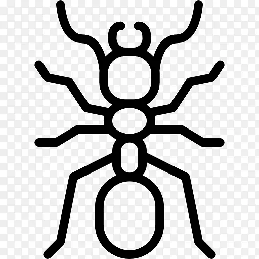 ��������������-����-������