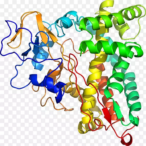 ���������л����߼�������-������