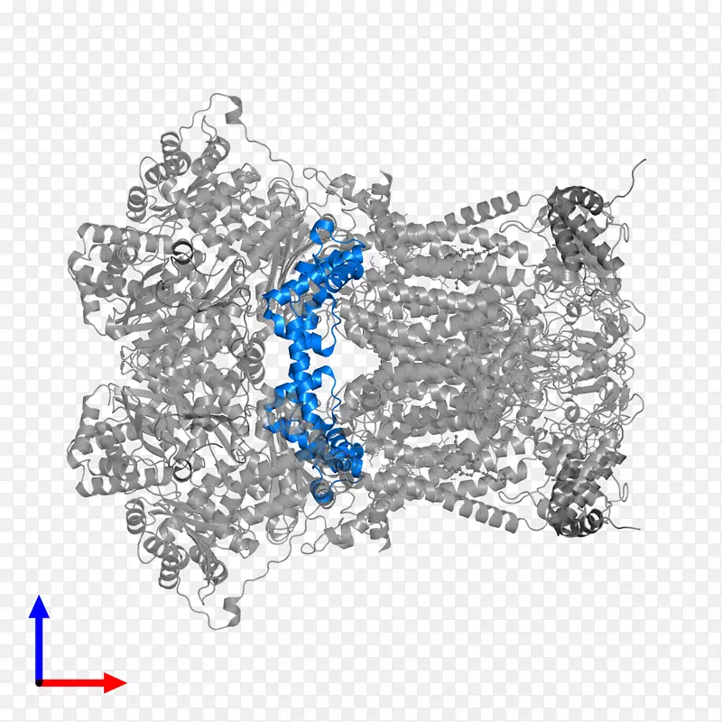 ��������.�鱦��������.�鱦-������