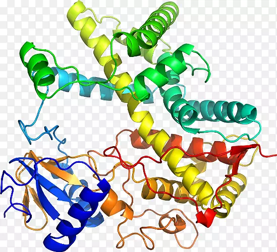 ���������л����߼�������-������