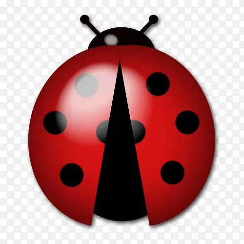 ư��-������