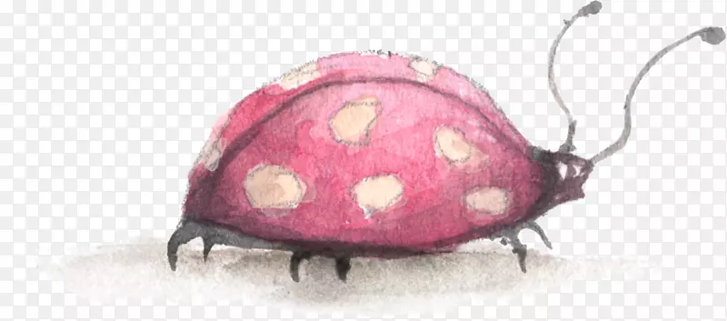 ֽ�����ﰲͬ��ư�������-ư��-������