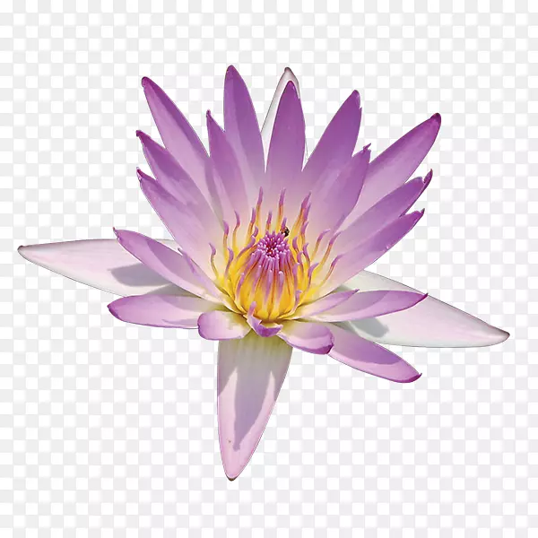 ������������������-������