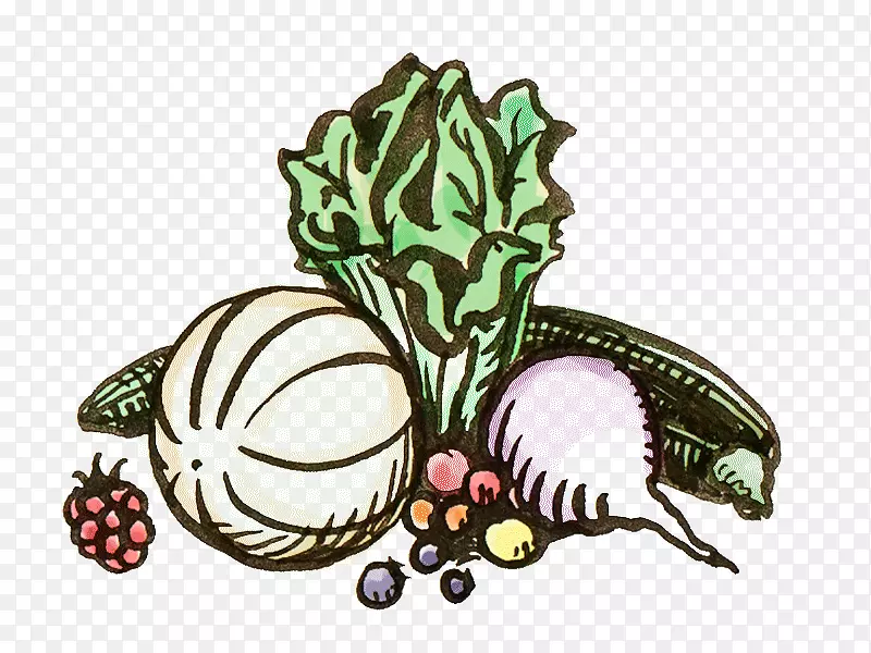 �Ͳ��ѿ���ֲ�����-������