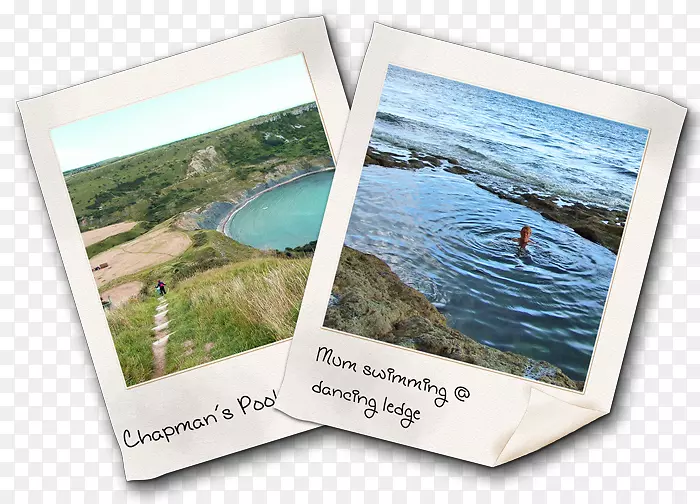 ��Ӱֽ�����Ӱ.��̨-������