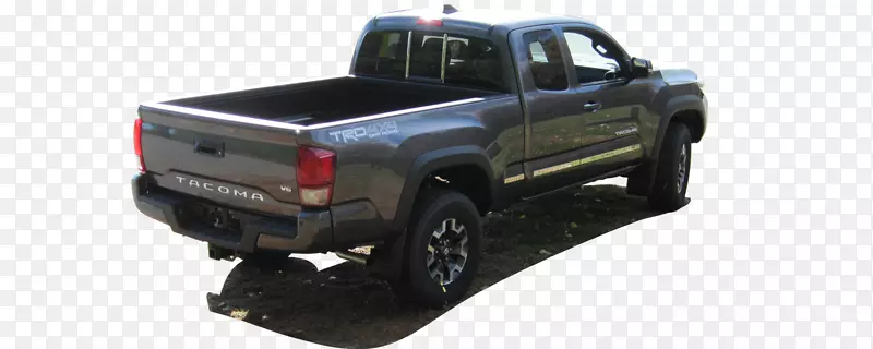 ��̥Ƥ�������ոܣ����������-Ƥ��-������