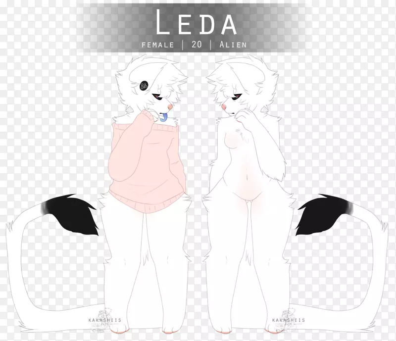 ����Ь��ͨ���-������