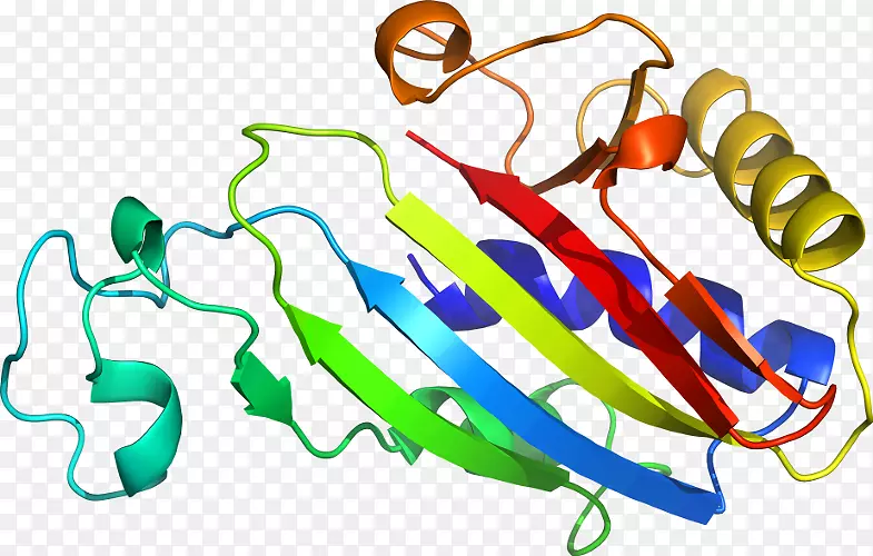 ���������л����߼�������-������