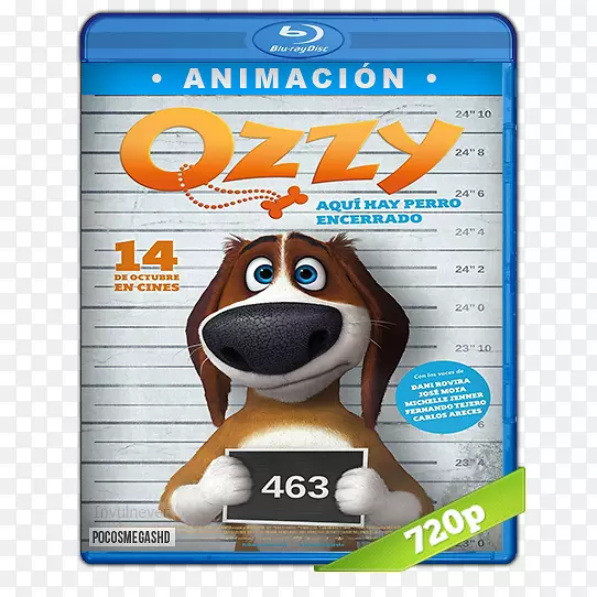 YouTube���ӵ�Ӱ����-������