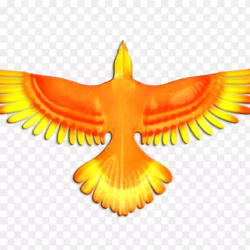 ӥ��ӥ-������