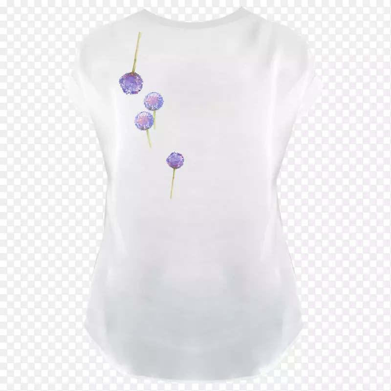 t��������װ.Ư���ѹ�Ӣ-������