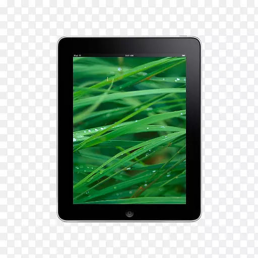 �����ֽ������ʾ��4k�ֱ��ʳ��������ȵ��ӵ���-������