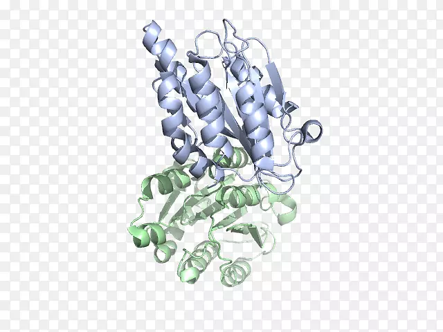 �����鱦����-�ʺ����ļ���-������