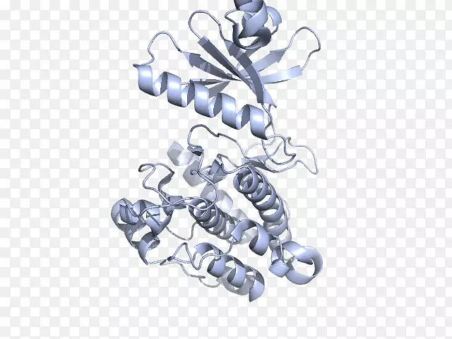 ��������-�ʺ����ļ���-������