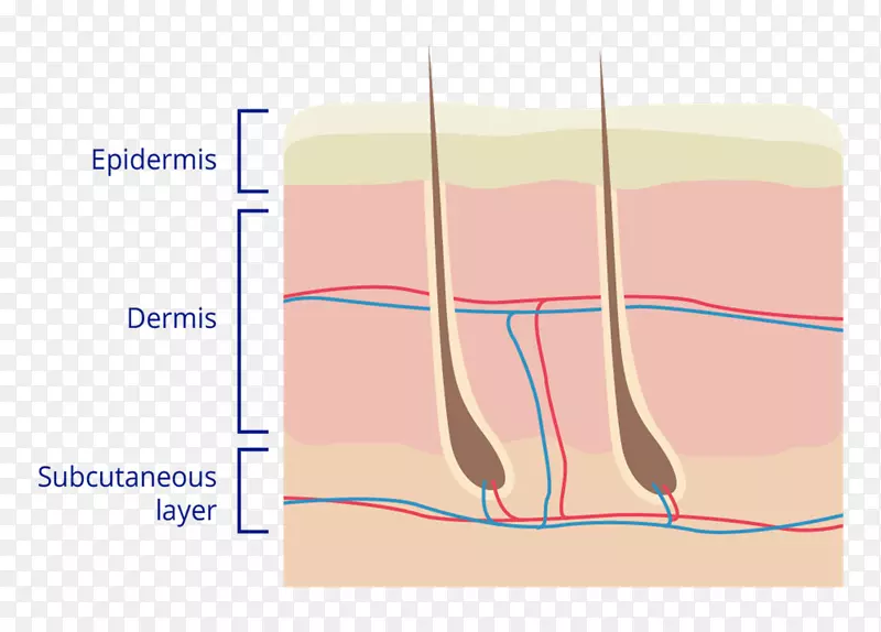 ��ָƤ��ͼ����-��Ƥ-������