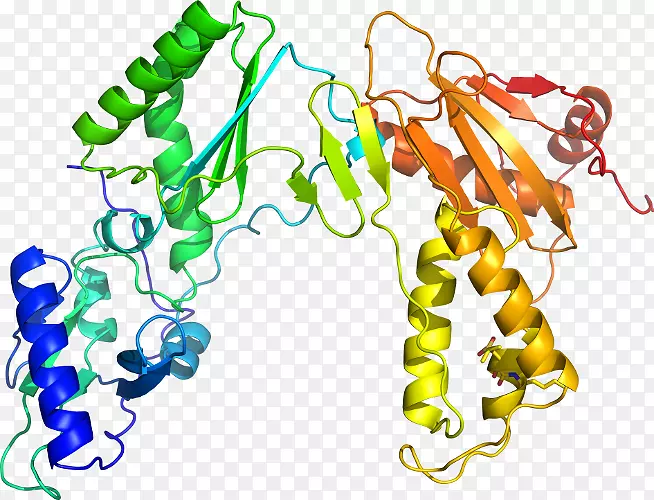 ���������л����߼�������-������