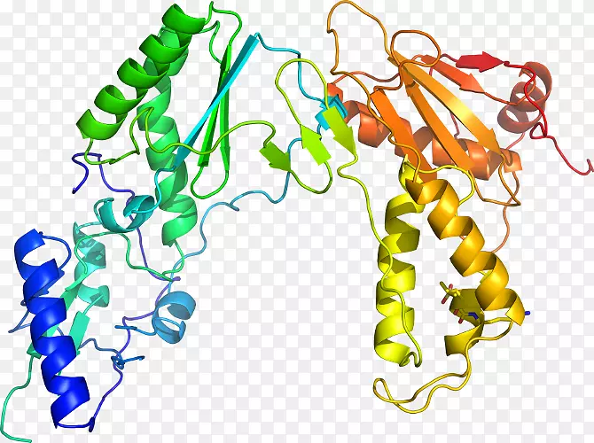 �����鱦�л��������.�鱦-������