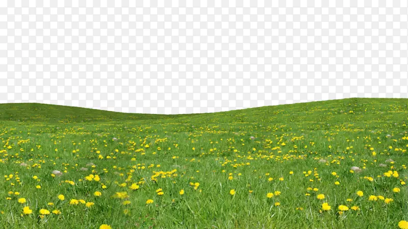 ��԰-������png-������