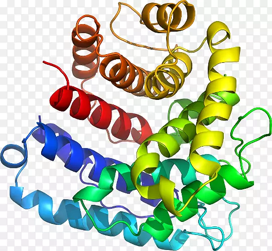 ���������л����߼�������-������