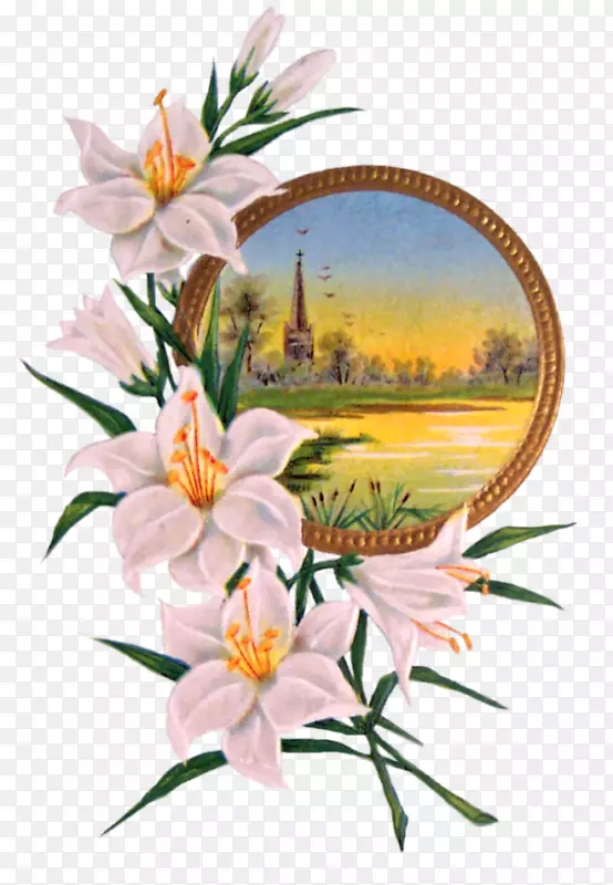 �����Ұ������-�����-������