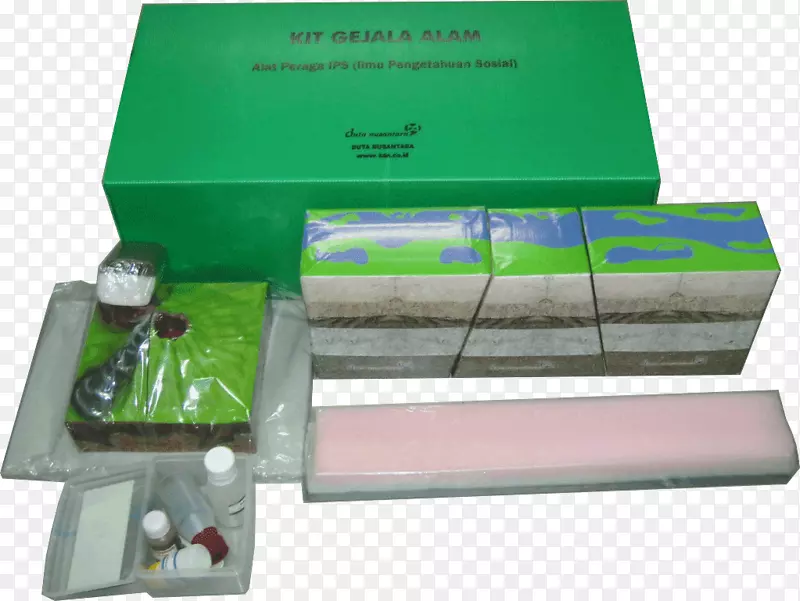 ����Сѧc���ϴ��ﷲ��ѧ-������