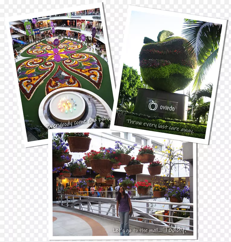 ƽ����ƺ���.���-������